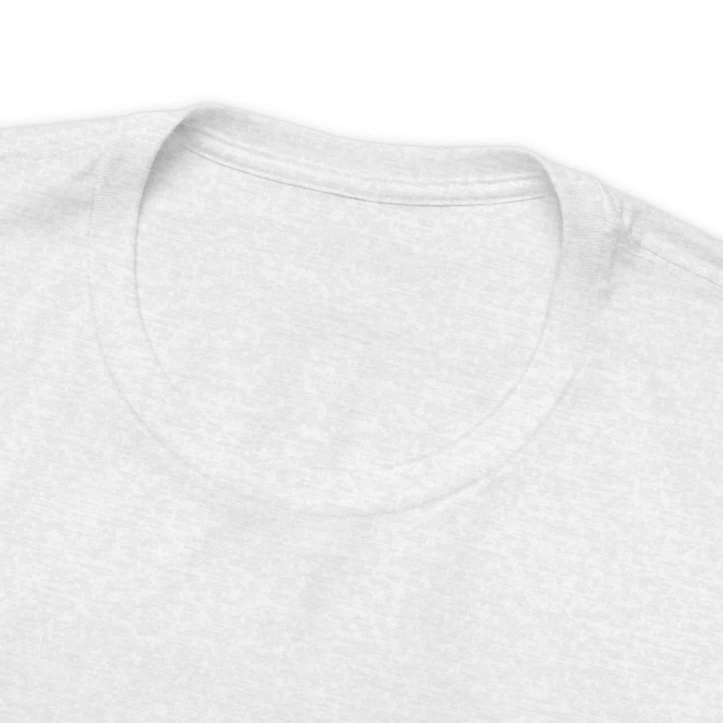 Sanibel Island Snowy Plover Unisex Jersey Short Sleeve Tee