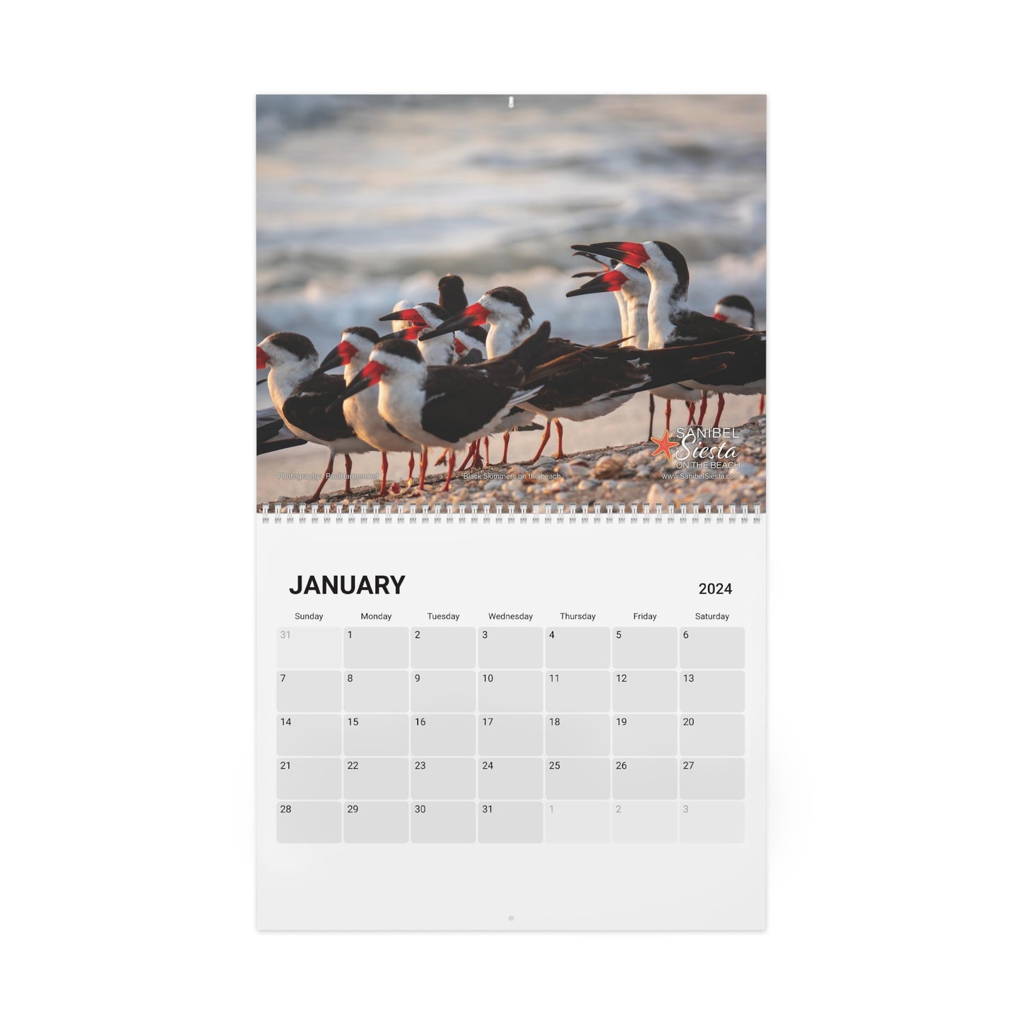 2024 Sanibel Siesta Wall Calendar