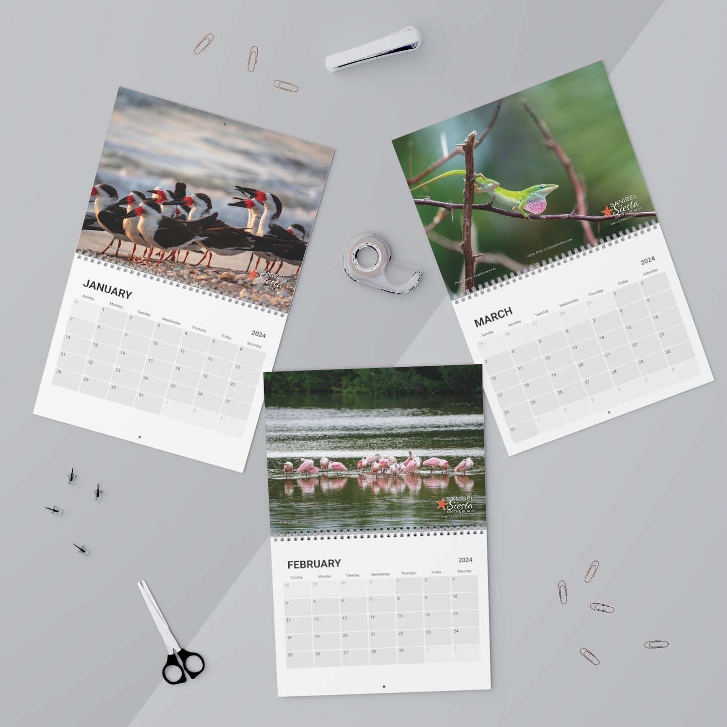 2024 Sanibel Siesta Wall Calendar