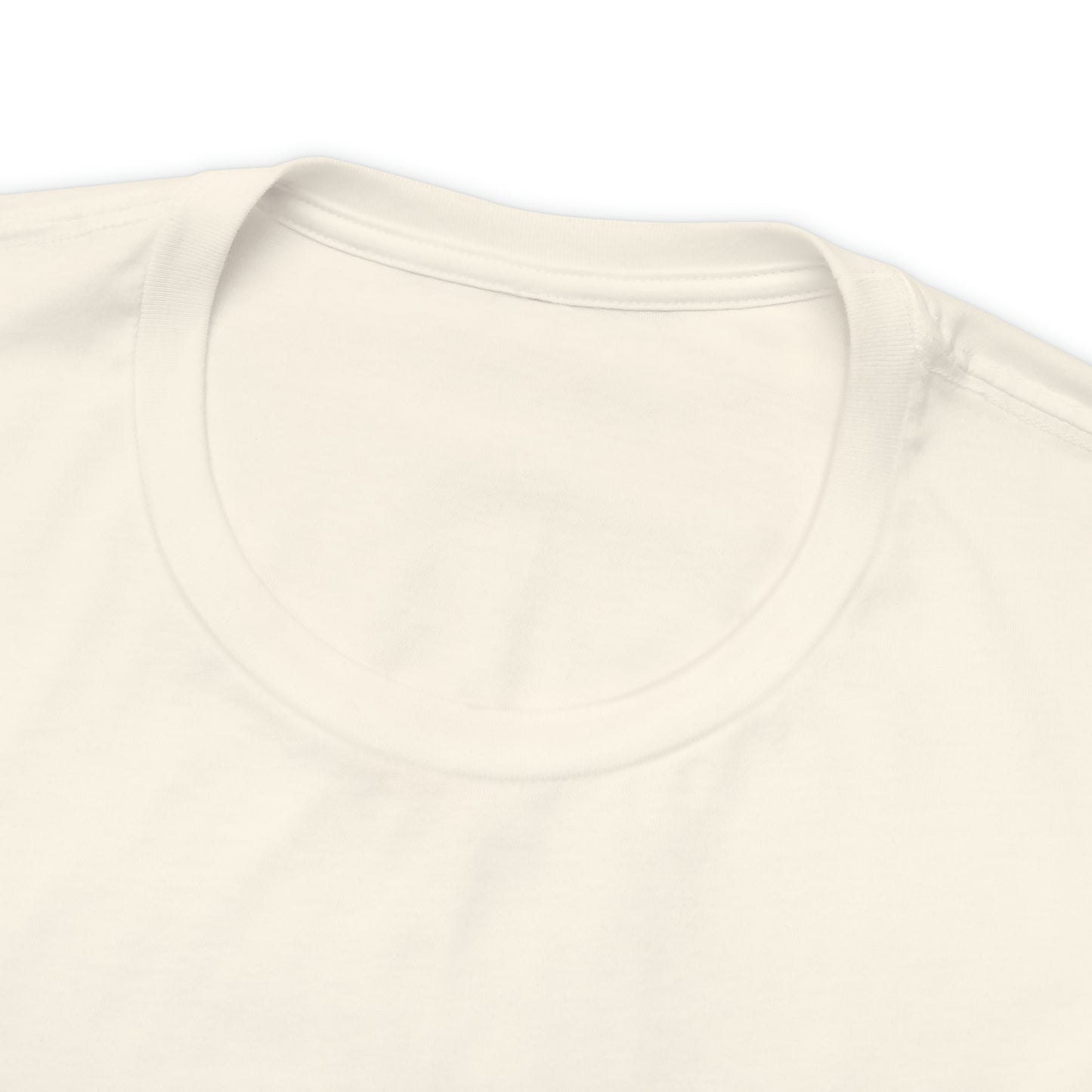 Sanibel Island Snowy Plover Unisex Jersey Short Sleeve Tee