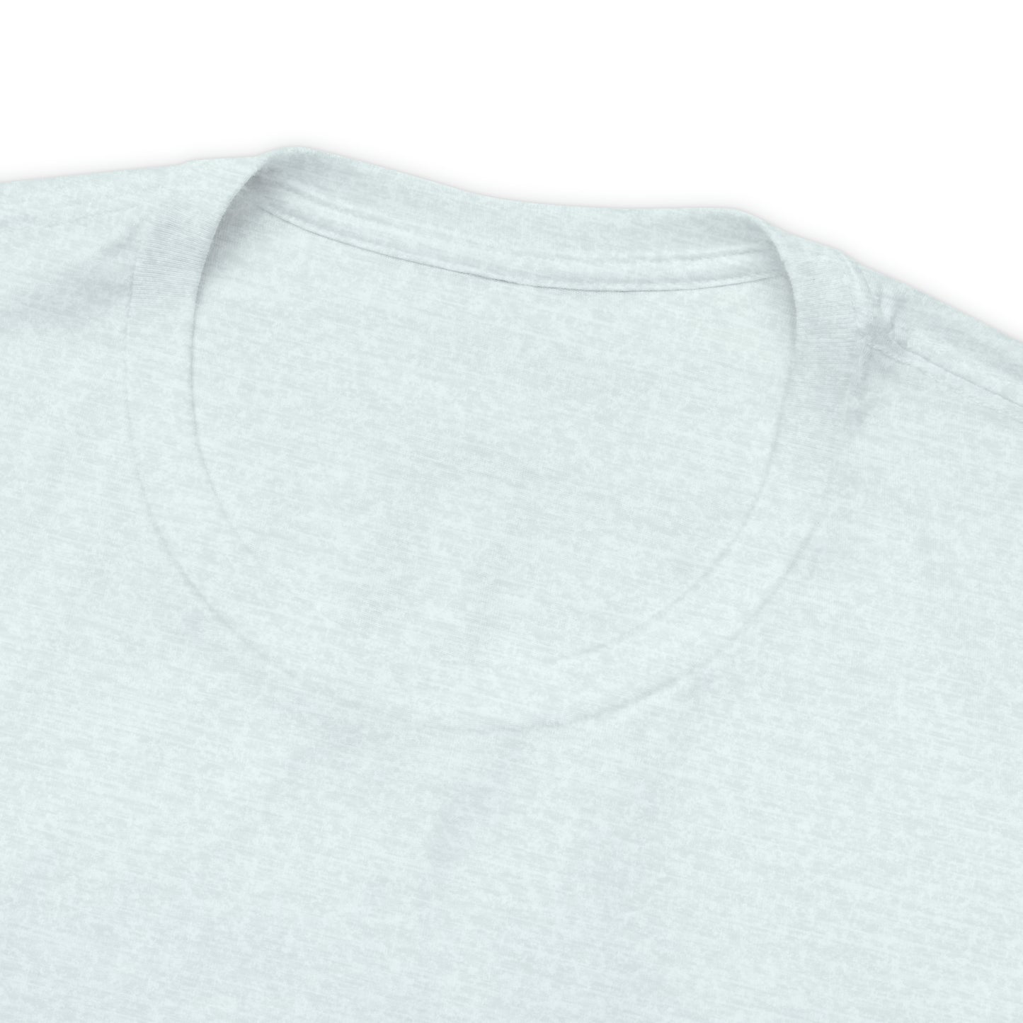 Sanibel Island Snowy Plover Unisex Jersey Short Sleeve Tee