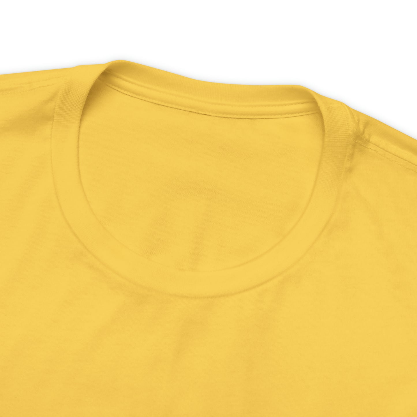 Sanibel Island Snowy Plover Unisex Jersey Short Sleeve Tee