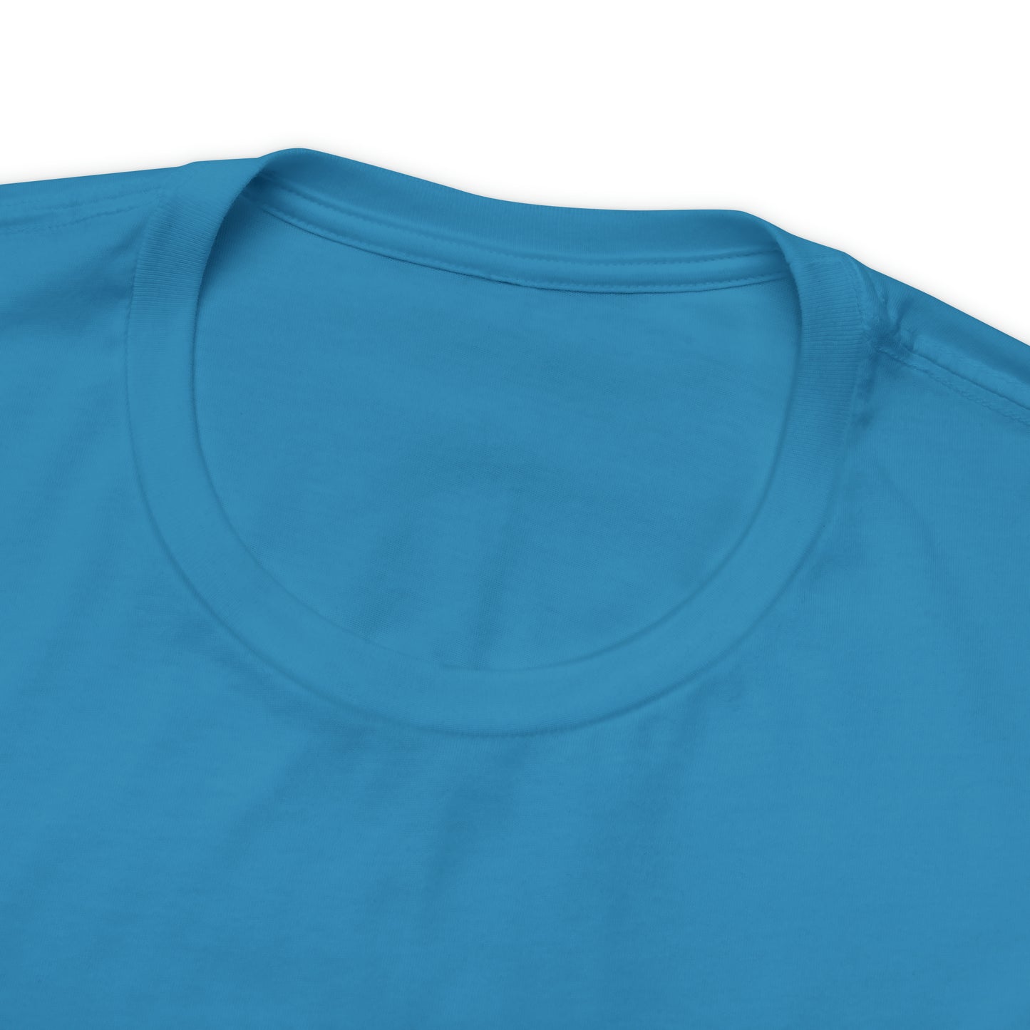 Sanibel Island Snowy Plover Unisex Jersey Short Sleeve Tee