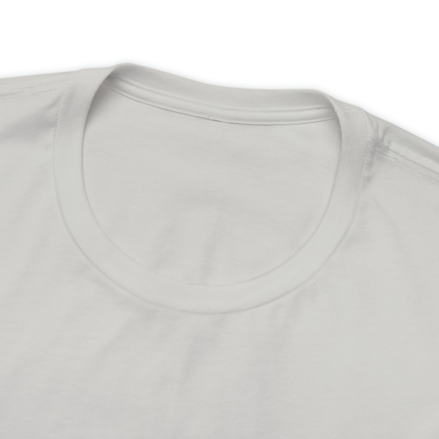 Sanibel Island Snowy Plover Unisex Jersey Short Sleeve Tee