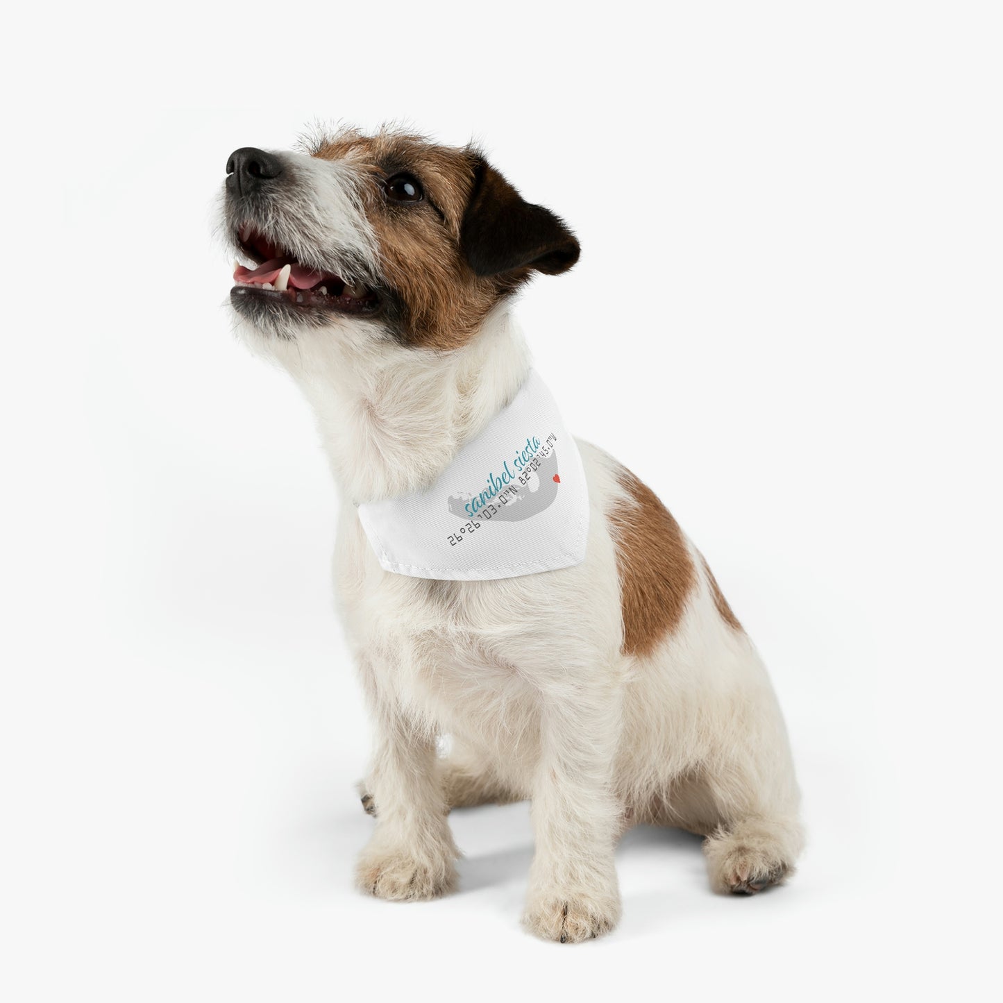 Sanibel Siesta GPS Pet Bandana Collar