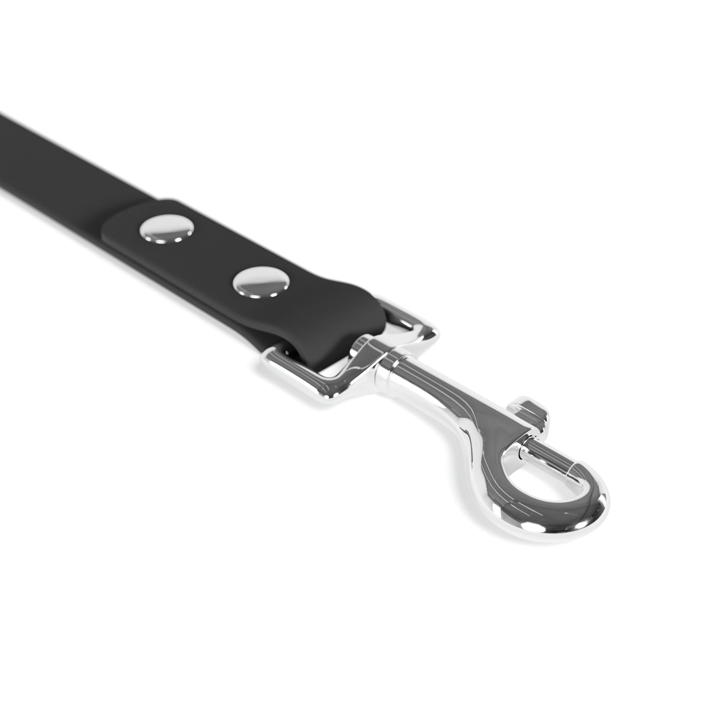 Sanibel Siesta Dog Leash
